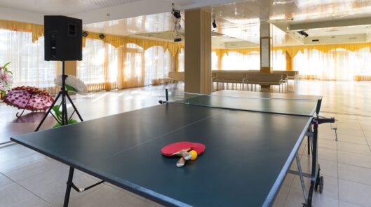 Настольный теннис